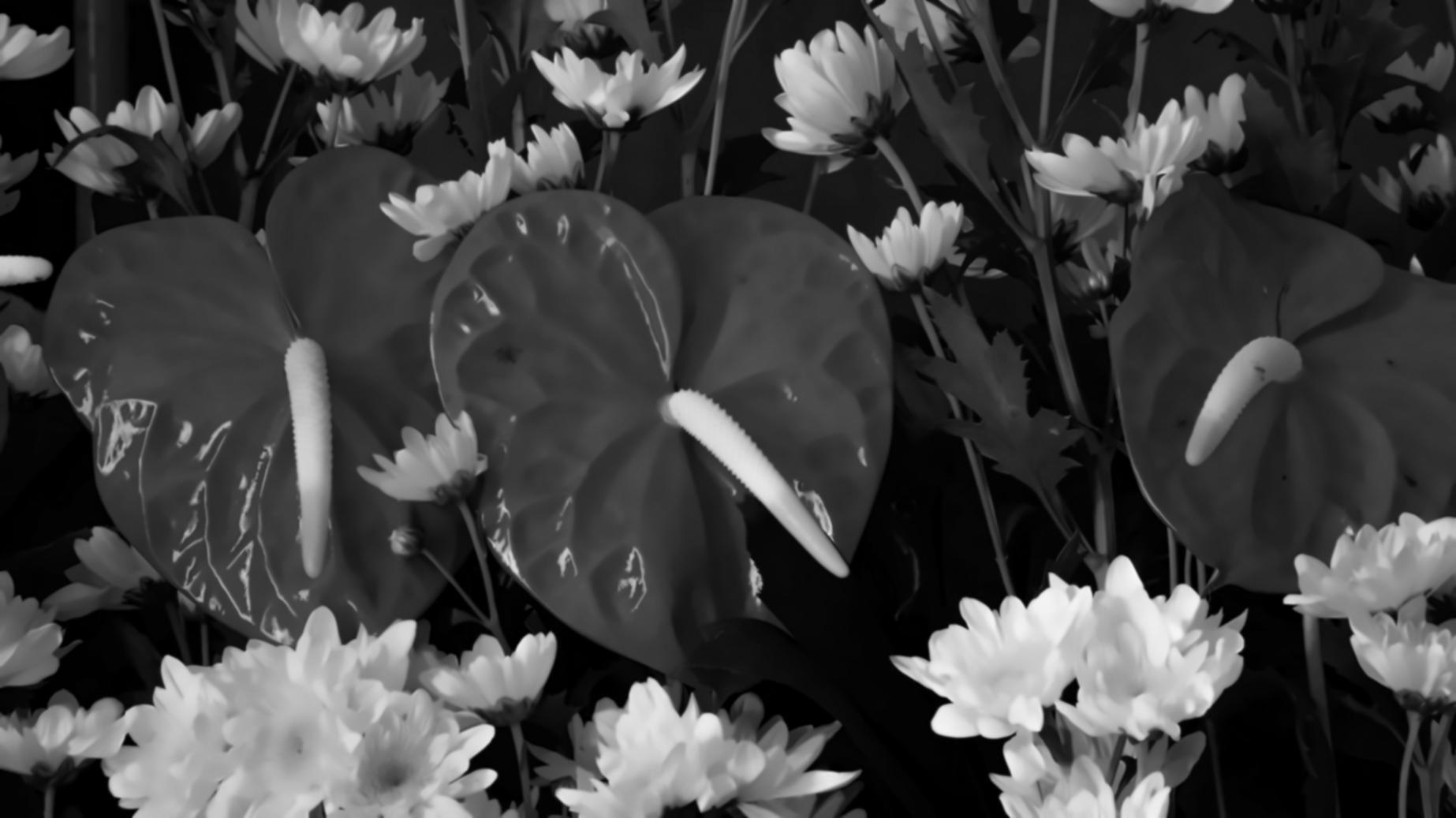 Training session showing collaborative learning environment with participants engaged in practical exercises