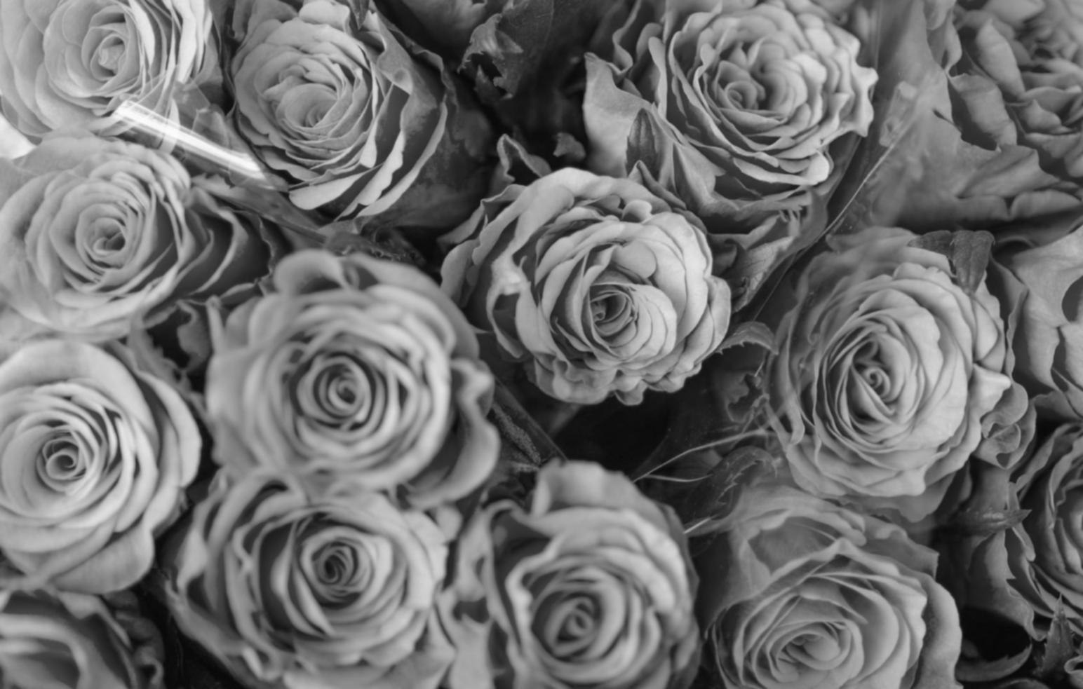 Professional supervisory training session