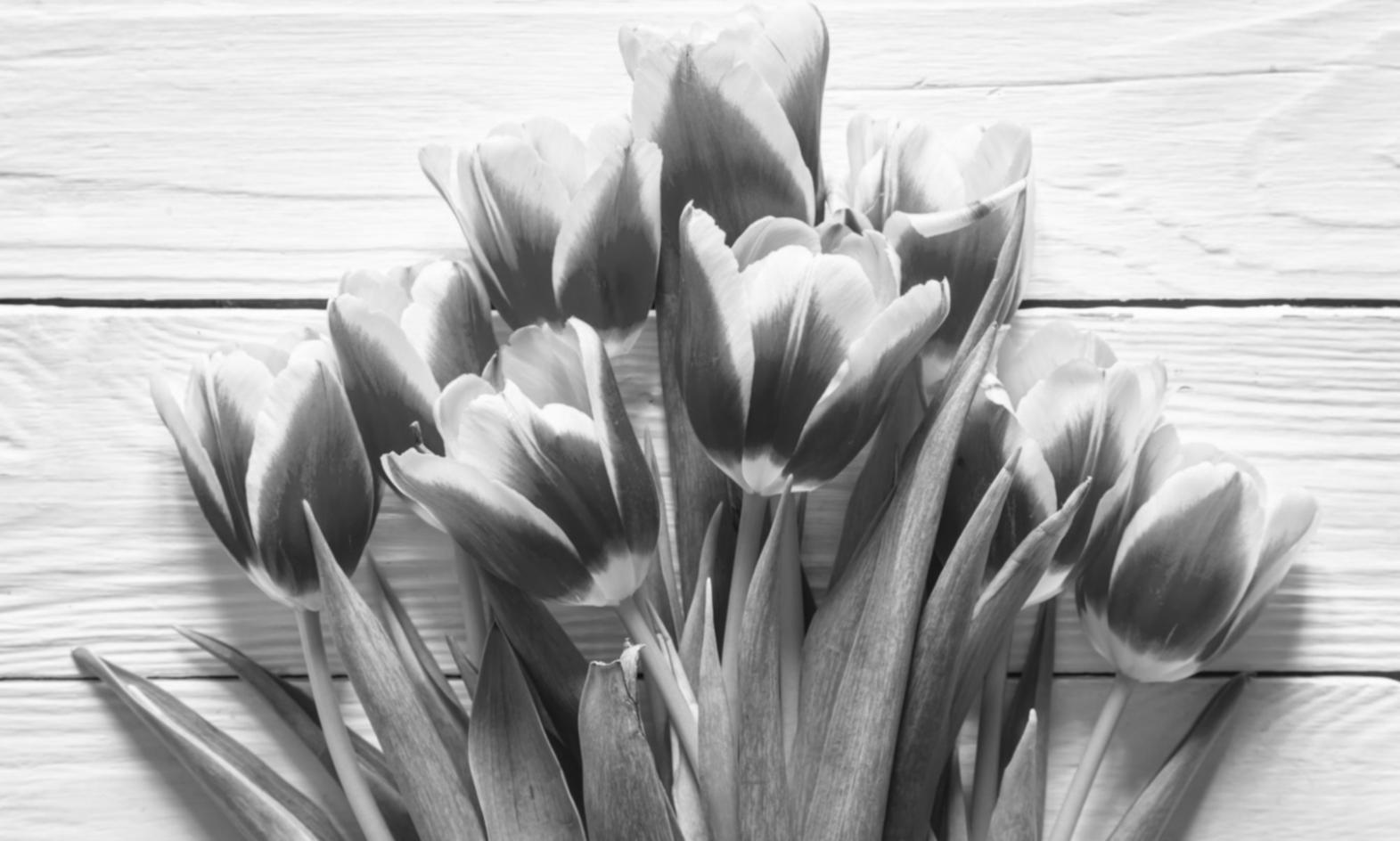 Team collaboration demonstrating commitment to ethical business practices and quality service